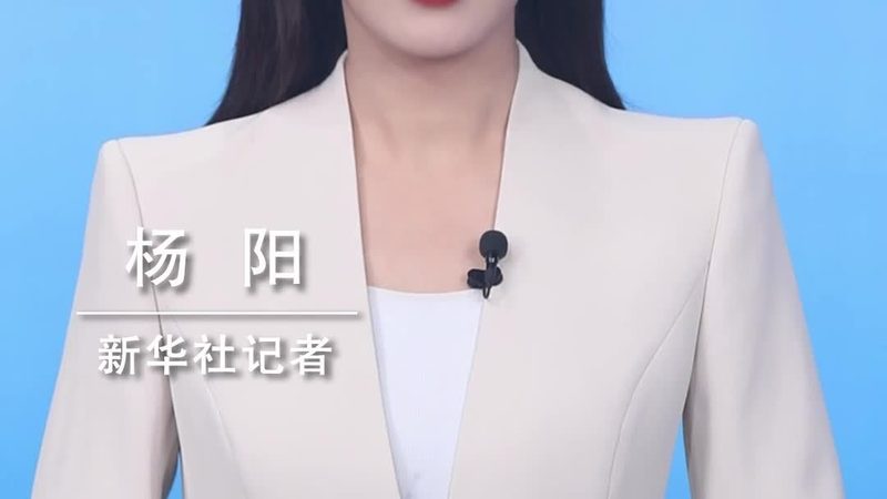 低代码平台：企业数字化转型的加速器